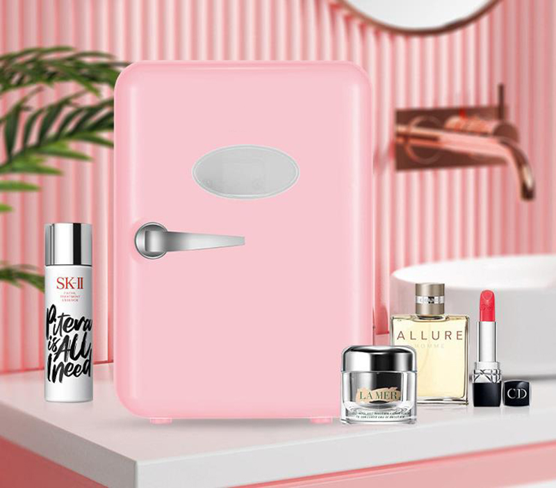 Lodówki dwufunkcyjne 4L do uży – Beauty Makeup Fridge recenzja i cena